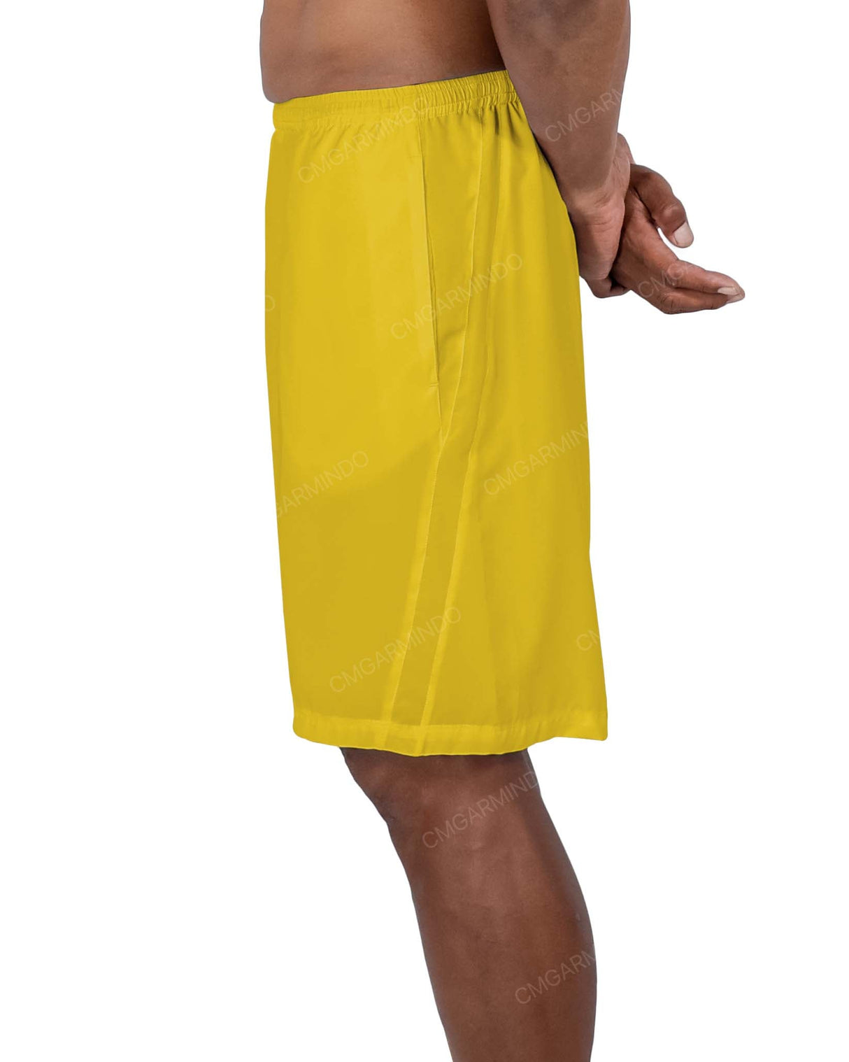 19" Side Panel Shorts