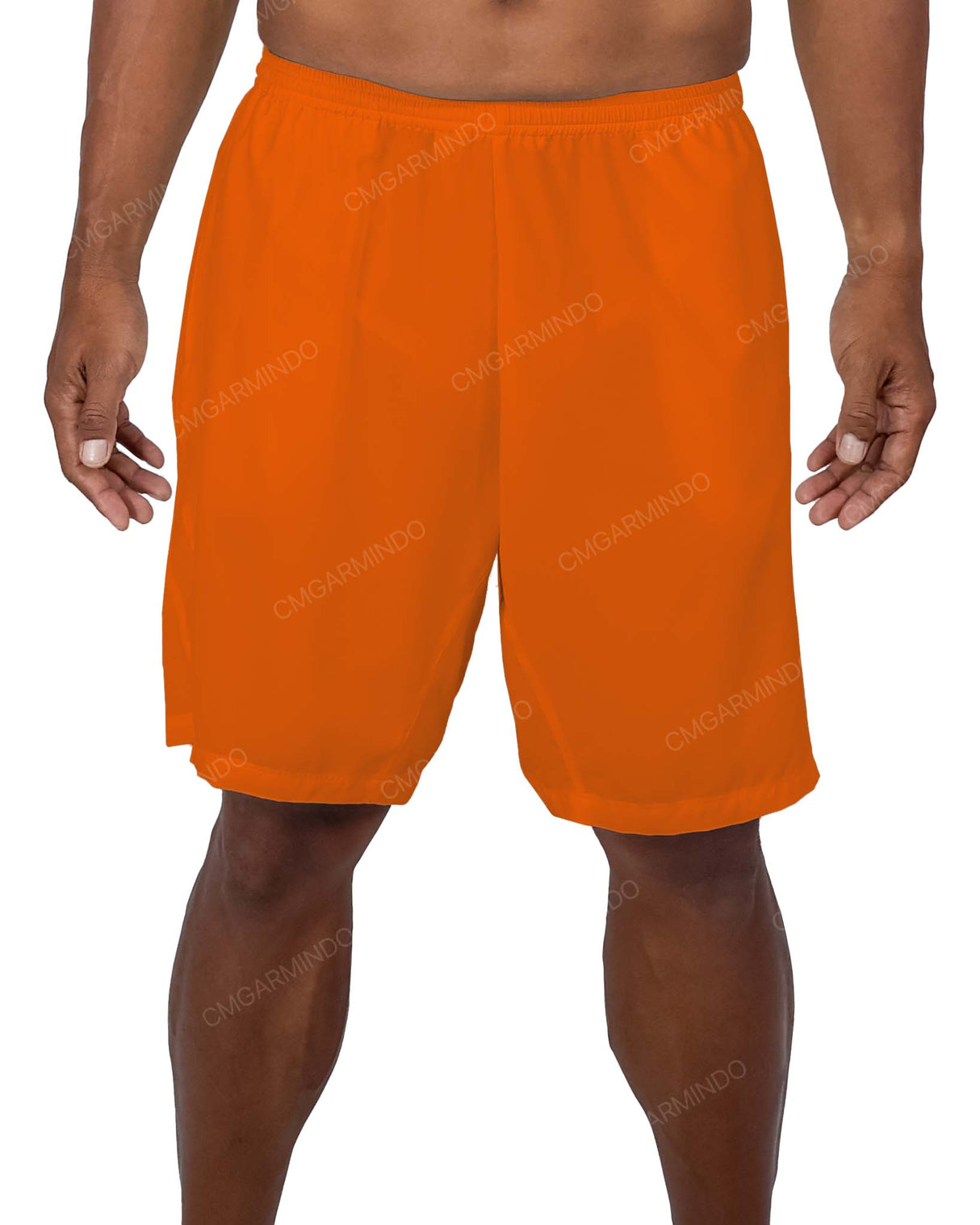 19" Side Panel Shorts