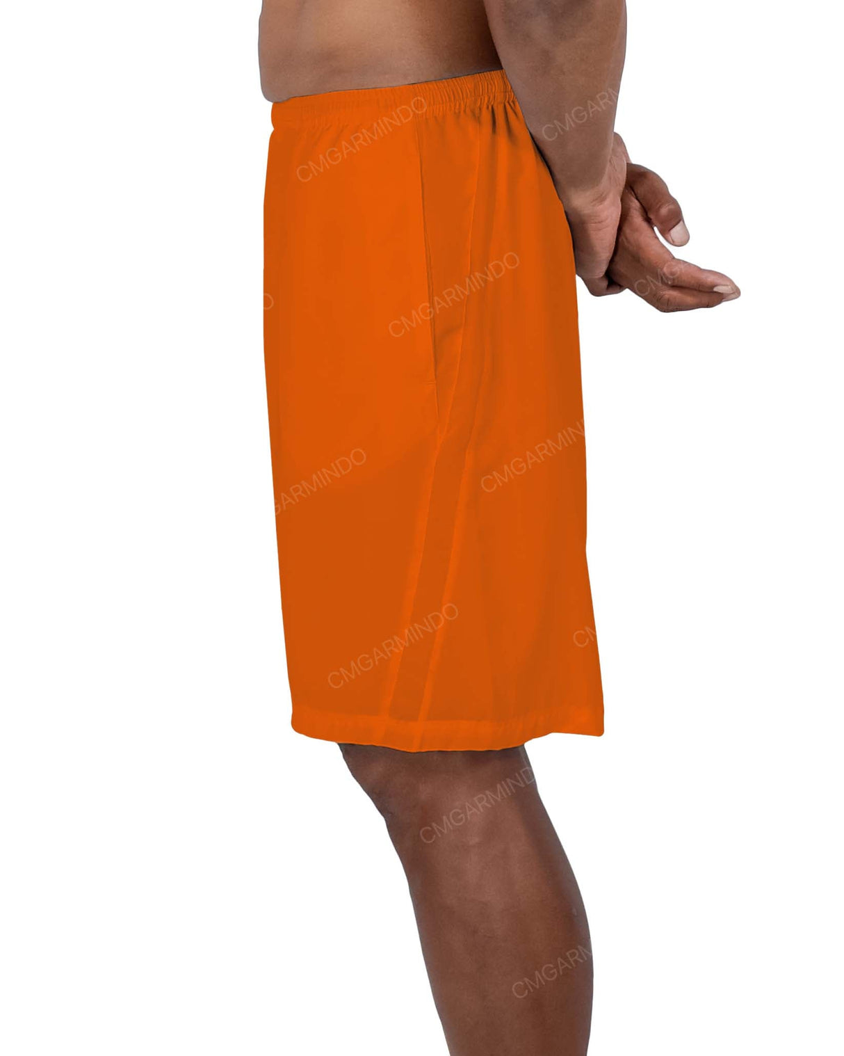 19" Side Panel Shorts