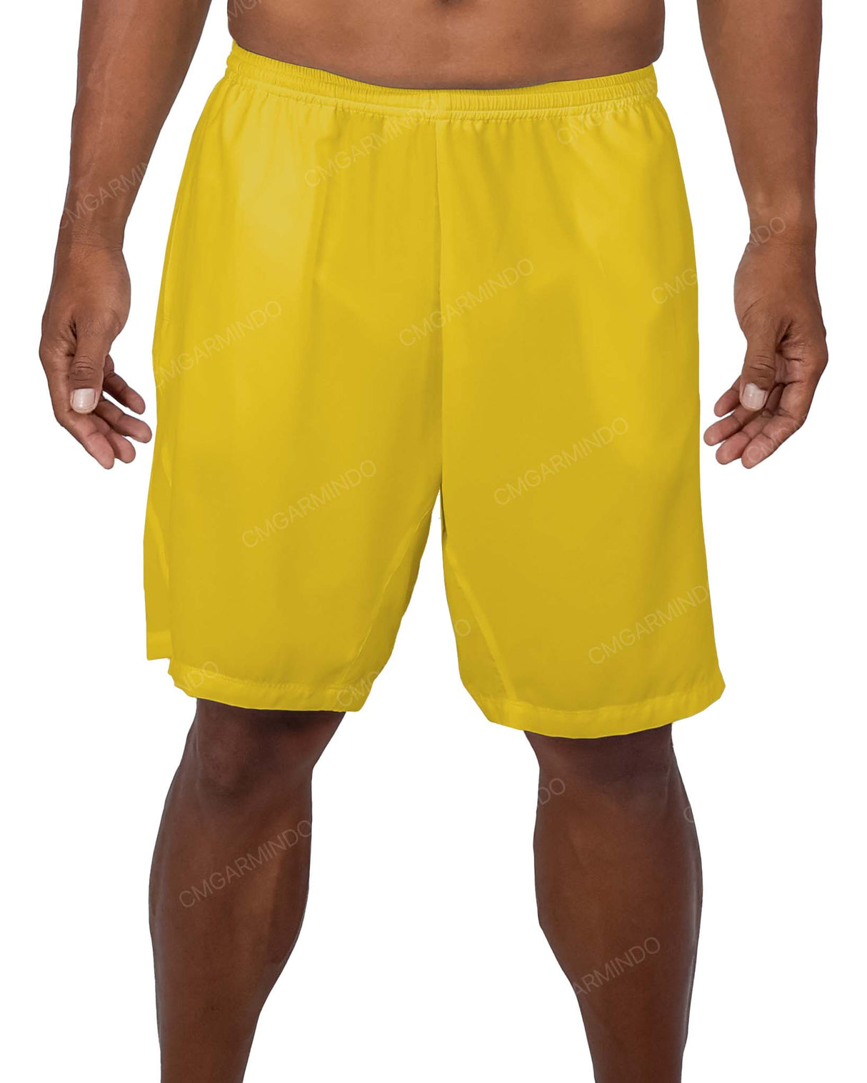 19" Side Panel Shorts