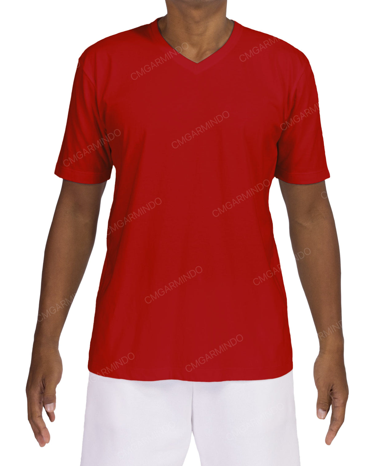 Regular V-Neck T-Shirt