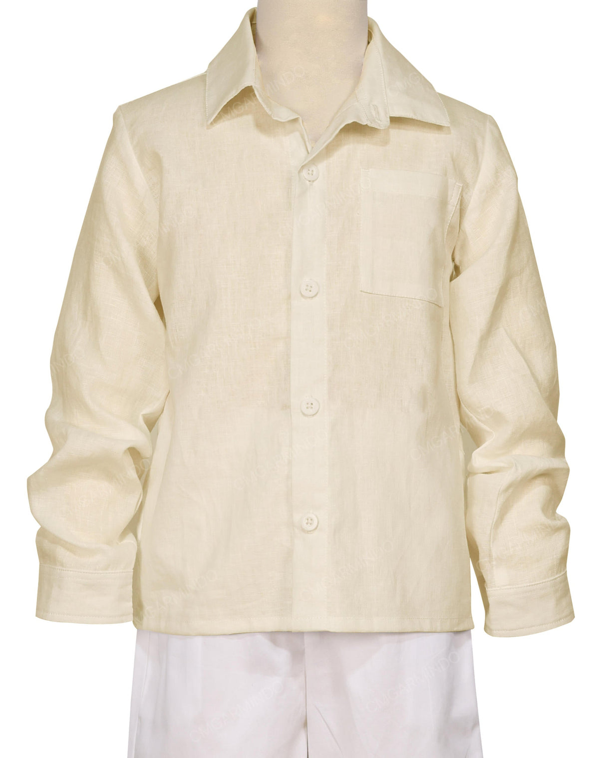 Regular Long Sleeve Button up Shirt
