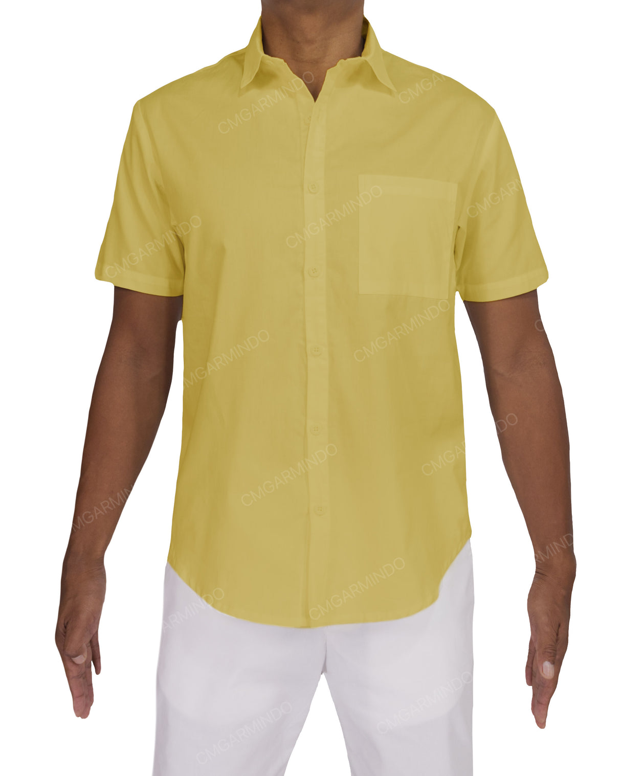 Fitted Short Sleeve Button Up Shirt