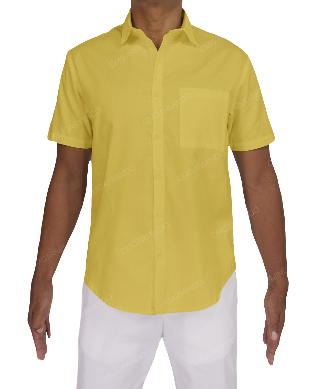 Fitted Short Sleeve Button Up Shirt