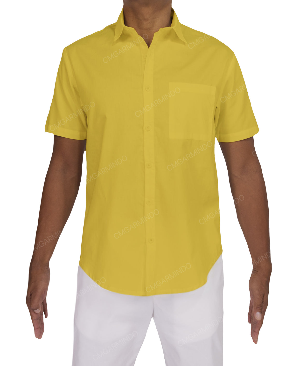 Fitted Short Sleeve Button Up Shirt