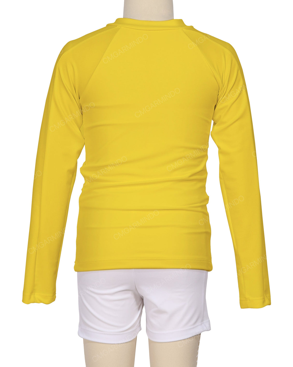 Long Sleeve Panel Raglan Rashie Top