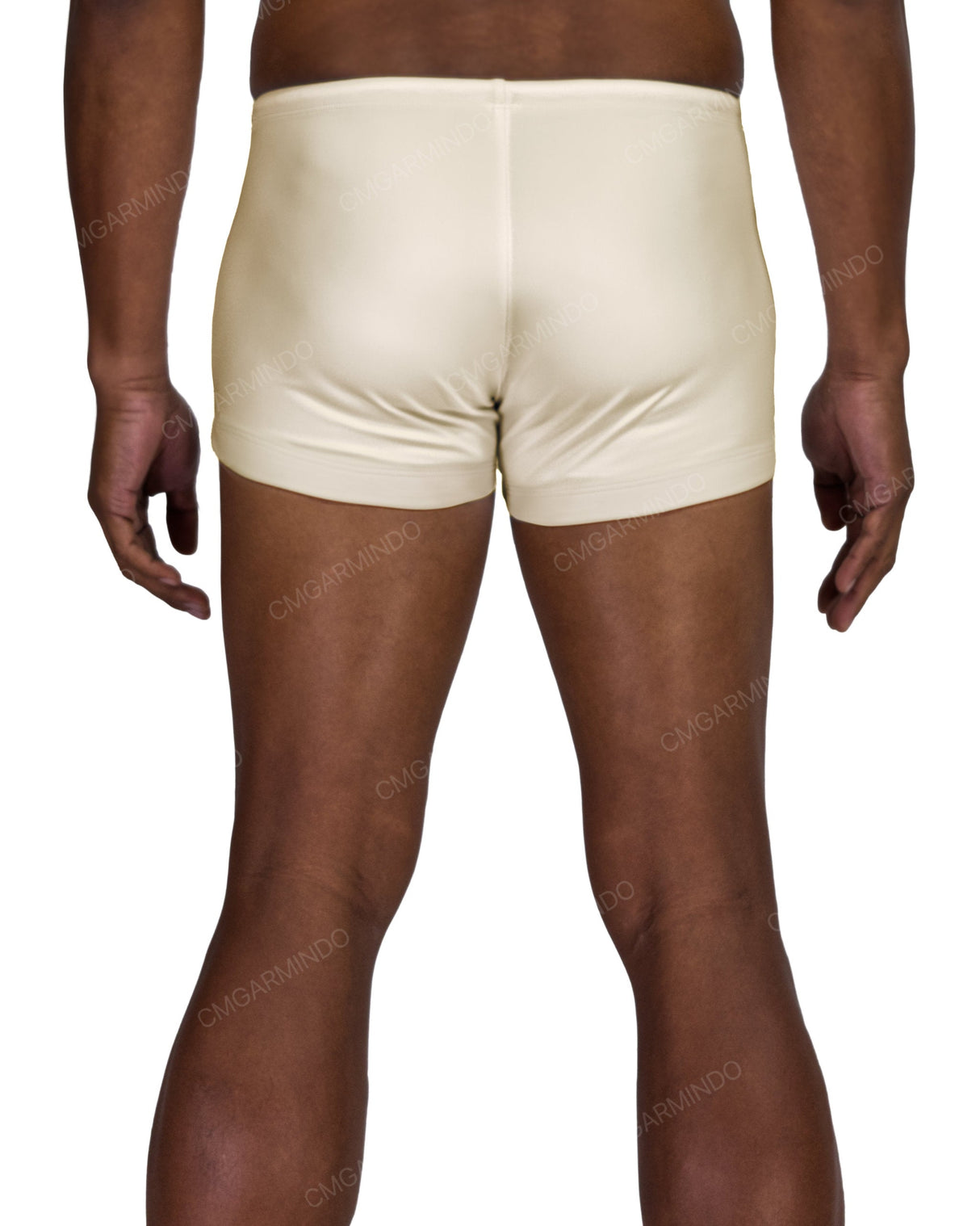 Short Swim Brief