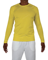 Fitted Long Sleeve Raglan T-Shirt