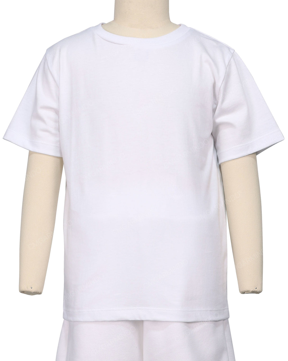 Regular Crew Neck T-Shirt