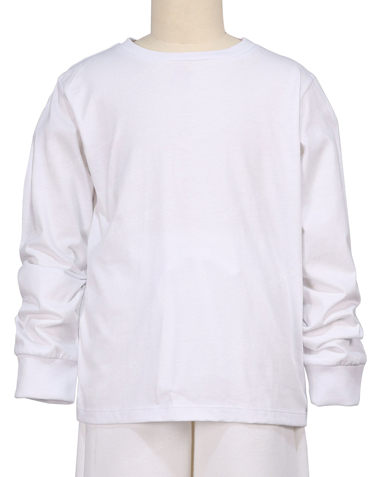 Regular Long Sleeve Raglan T-Shirt