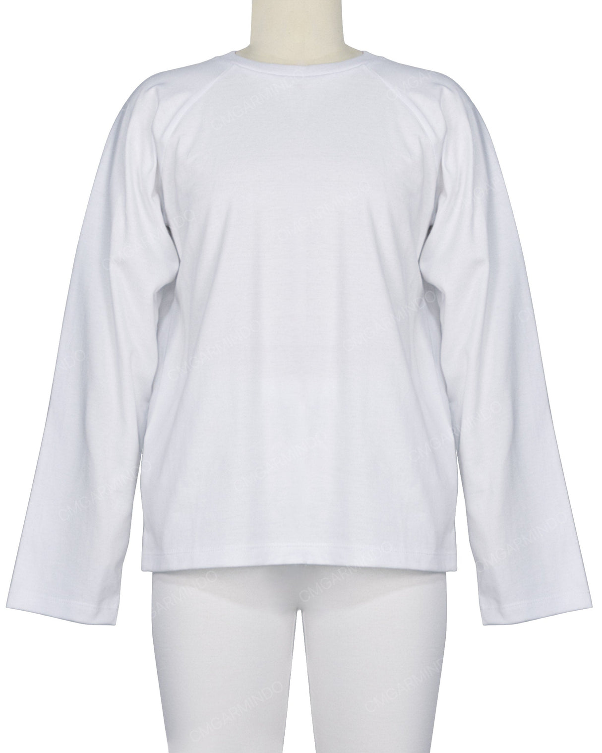 Regular Long Sleeve Raglan T-Shirt