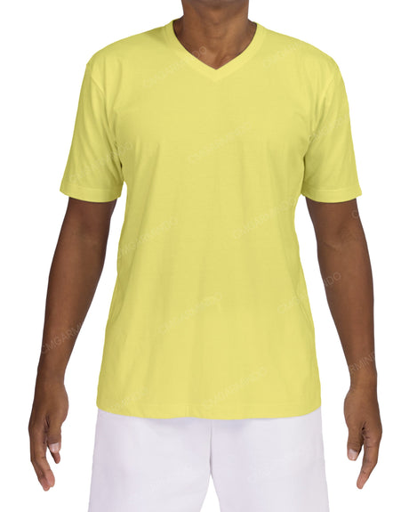 Regular V-Neck T-Shirt