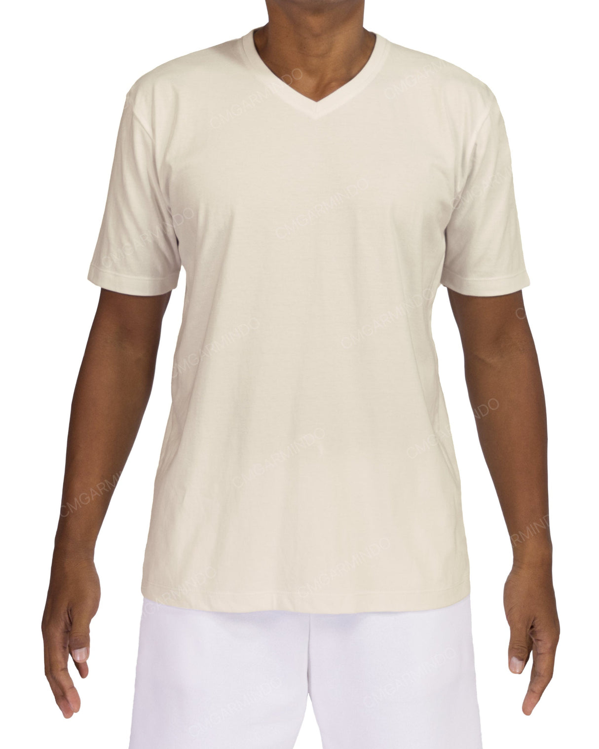 Regular V-Neck T-Shirt