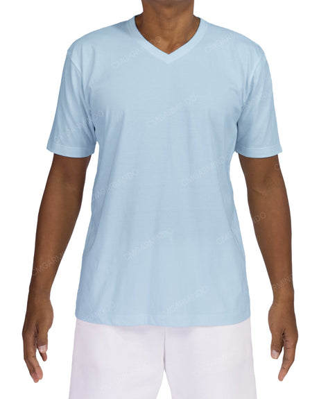 Regular V-Neck T-Shirt