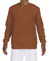 Regular Sweatshirt