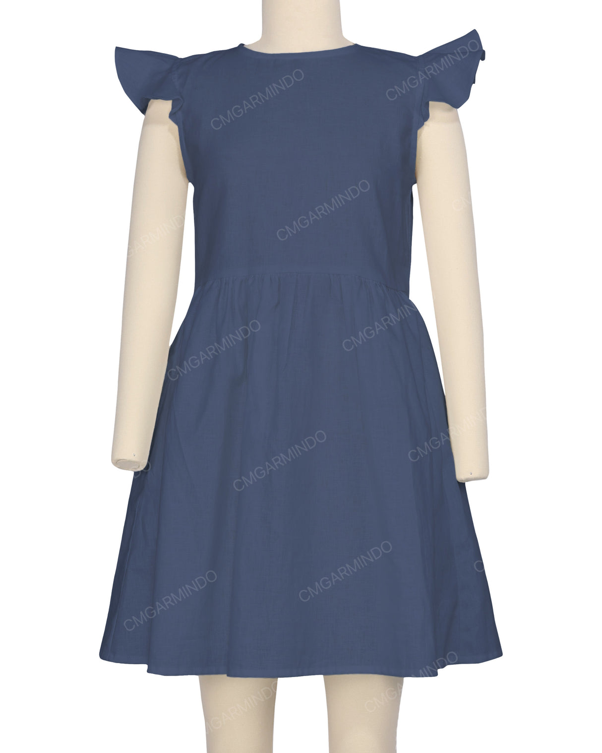 Frill Sleeve Dress