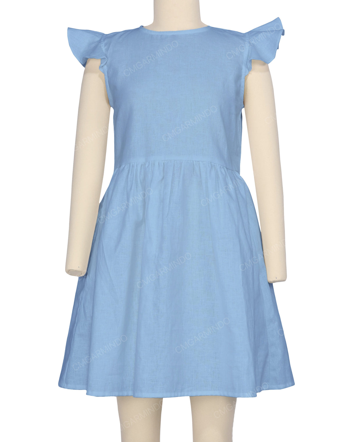 Frill Sleeve Dress