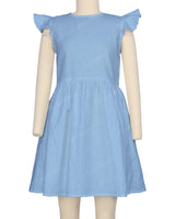 Frill Sleeve Dress