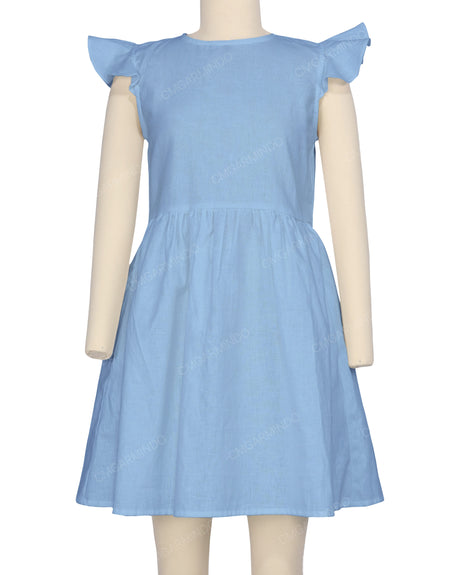 Frill Sleeve Dress