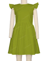 Frill Sleeve Dress