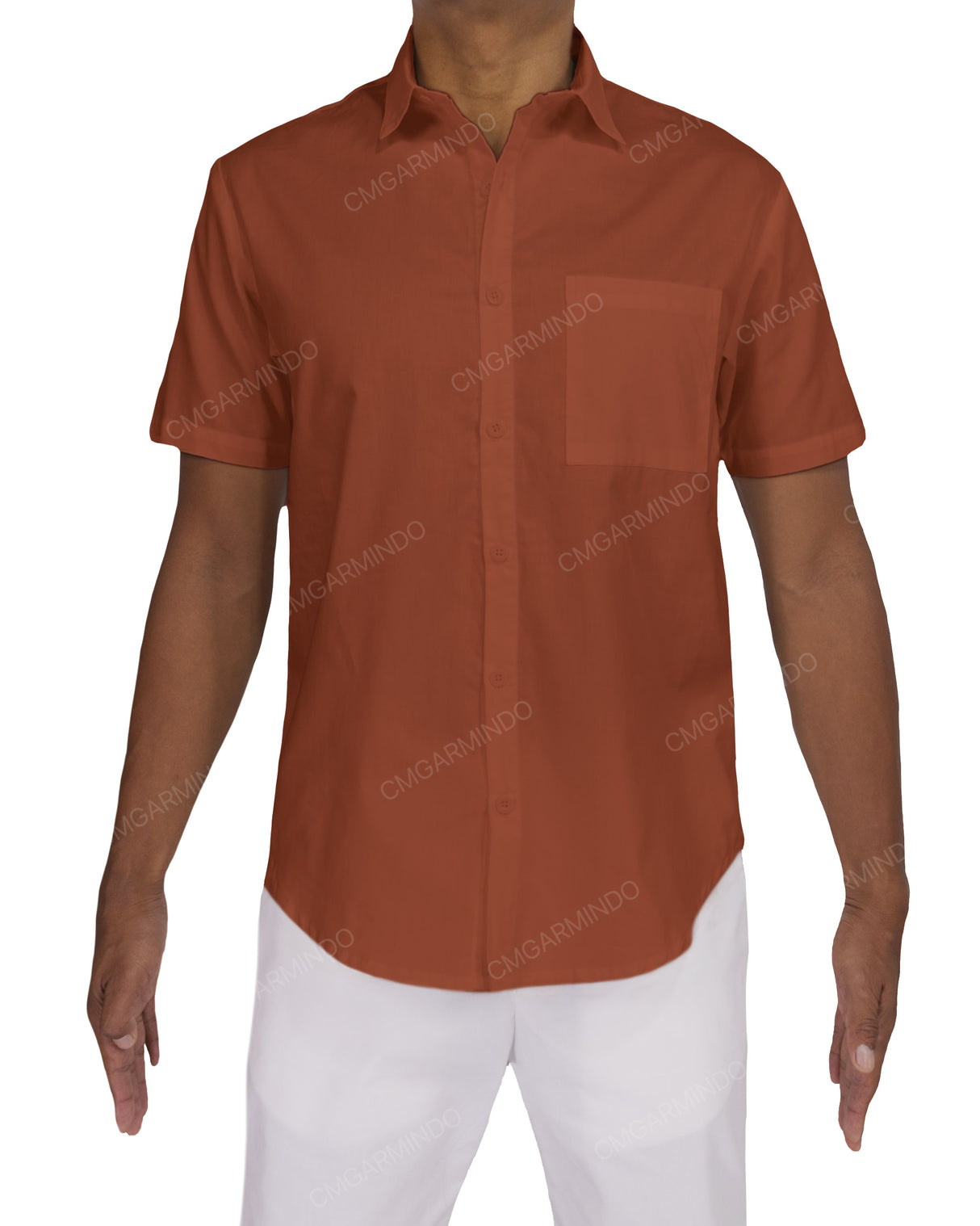 Fitted Short Sleeve Button Up Shirt