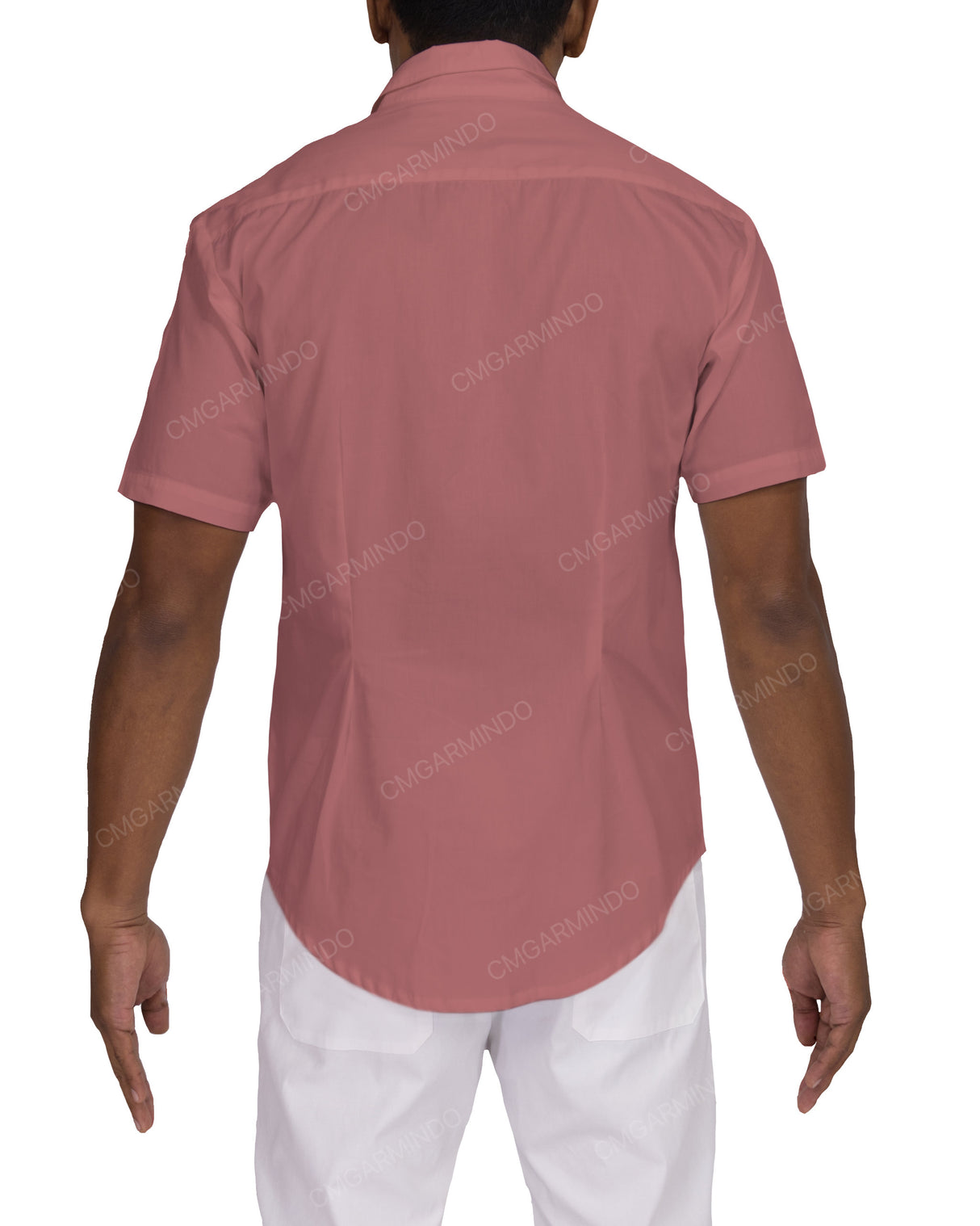 Fitted Short Sleeve Button Up Shirt