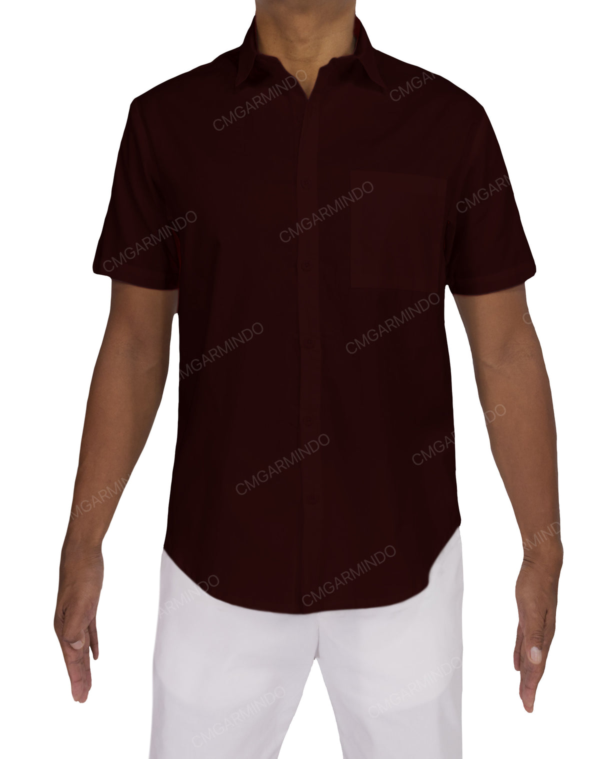 Fitted Short Sleeve Button Up Shirt