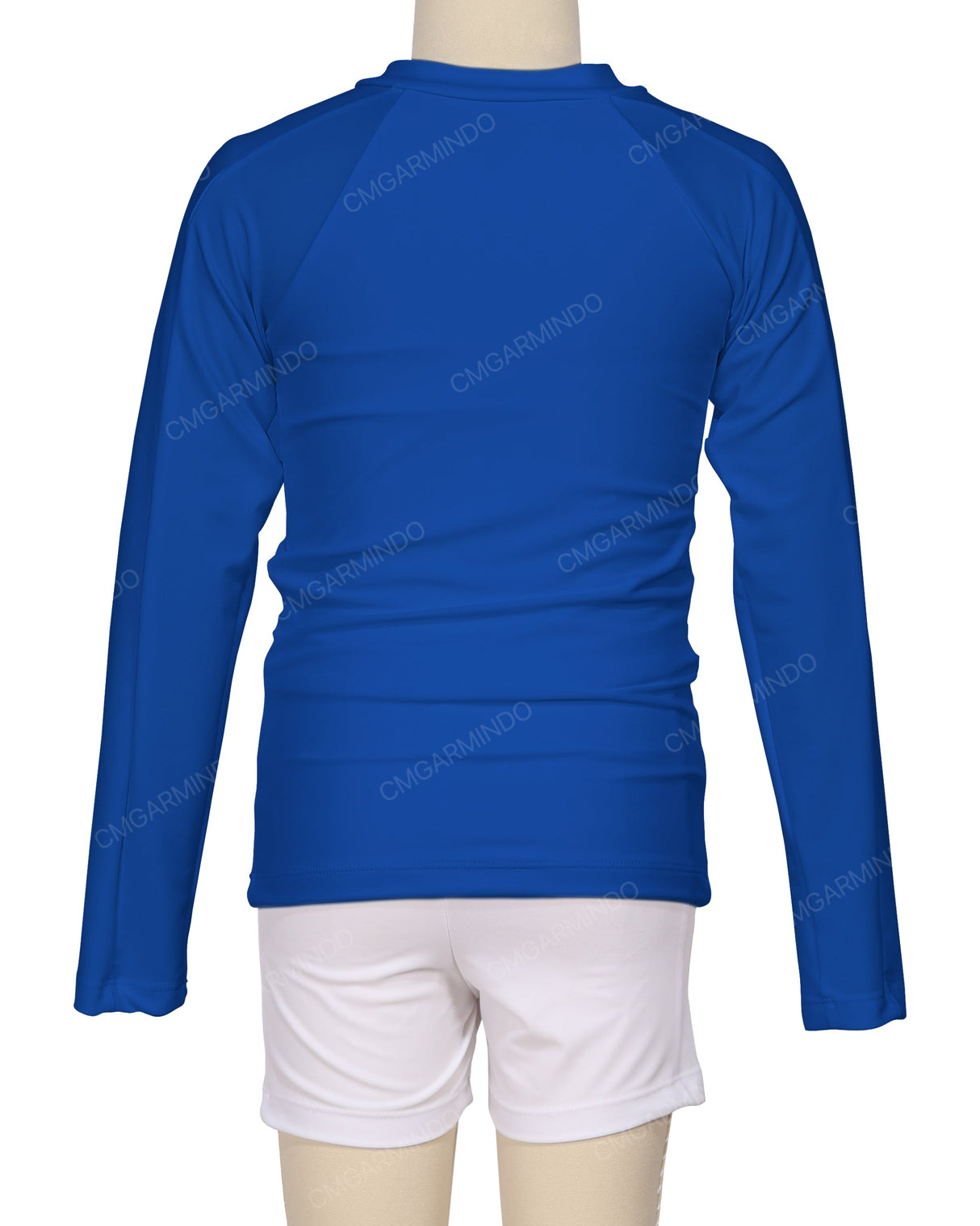 Long Sleeve Panel Raglan Rashie Top