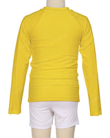Long Sleeve Panel Raglan Rashie Top