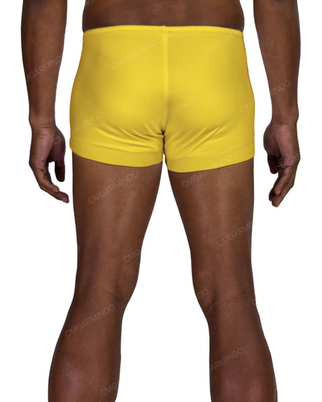 Short Swim Brief