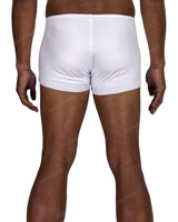 Short Swim Brief