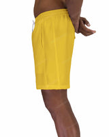 17" Elastic Waist Side Panel Swimshorts